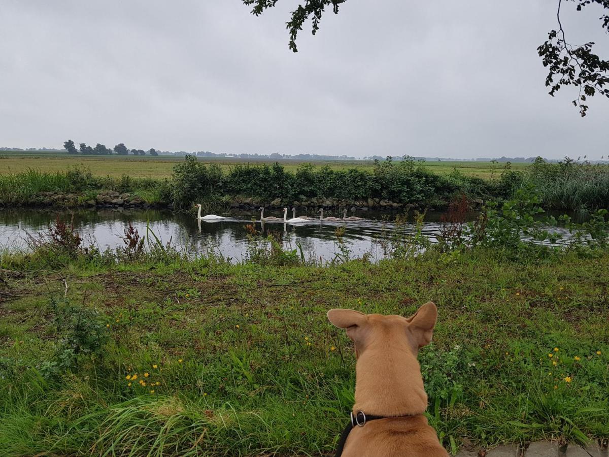 Drenths Landgoed, Welkom Thuis Annerveenschekanaal Extérieur photo
